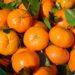 Kuo klementinai skiriasi nuo kitų citrusinių vaisių?