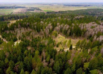 S. Birgelis. Ypatinga istorinės atminties vieta