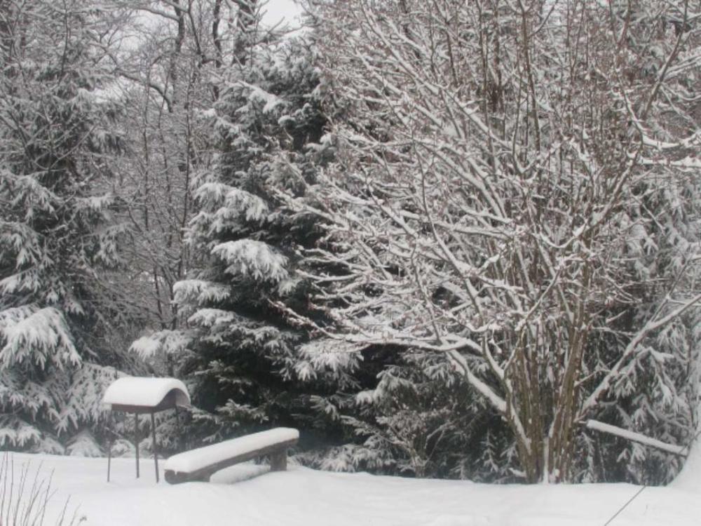 N. Marcinkevičienė. Andriejus mergicas monina?