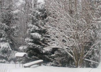 N. Marcinkevičienė. Andriejus mergicas monina?