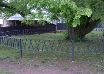 Medžiai senoliai juosiami naujomis tvorelėmis