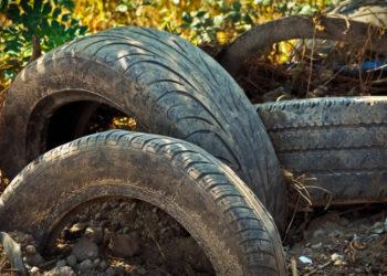 Padangoms tvarkyti – 440 tūkst. eurų parama