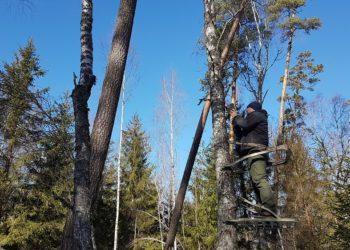 Permainos gamtininkų darbe – retų paukščių apskaitai pasitelkė šiuolaikines technologijas