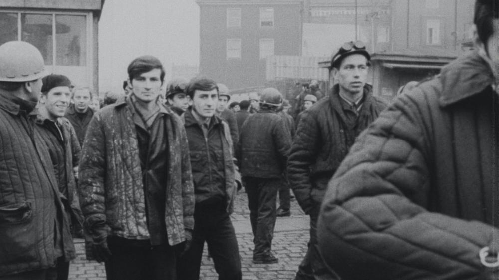 Lenkų kino dienos „Scanoramoje“: gyvybingas kino pasaulio balsas (video)