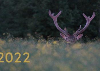 Septintoko įamžintos gamtos akimirkos – 2022 metų kalendoriuje