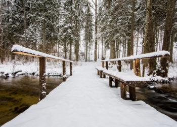 Lankydami parkus remiame gamtą