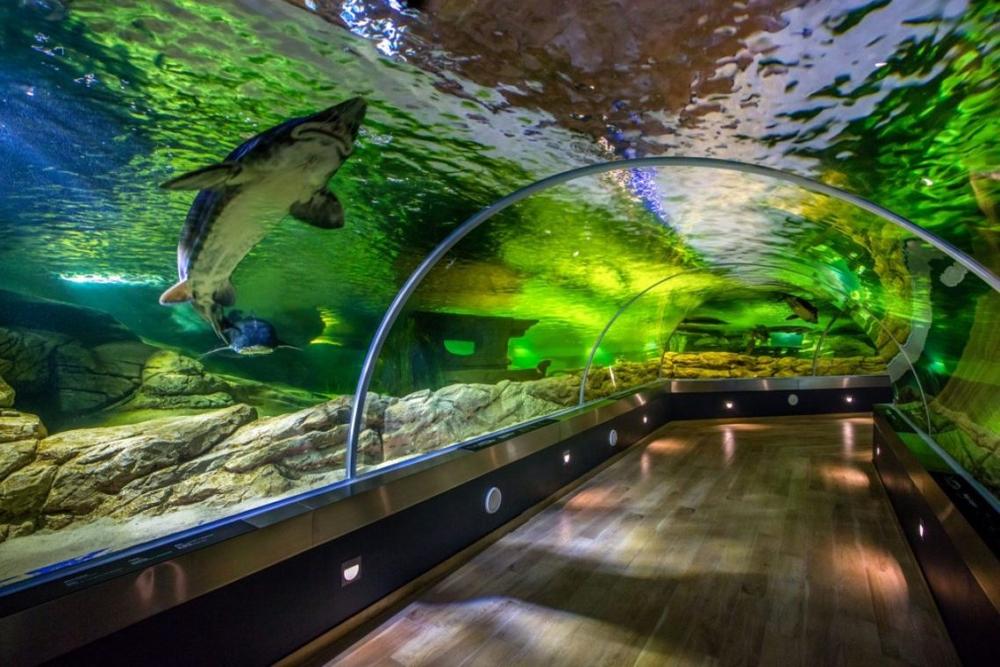 A. Gaidamavičius. Ežerų muziejaus vizijos įgyvendinimo link