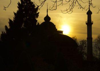 Pixabay.com s_fsahin nuotr.