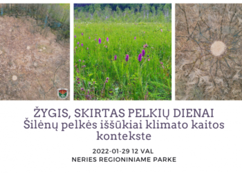 Rengiamas žygis skirtas pasaulinei Pelkių dienai