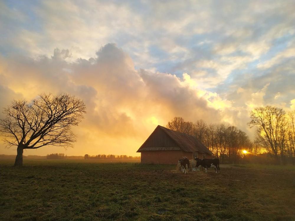 Sumanaus kaimo projektai – kelias į pokyčius