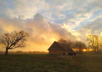 Sumanaus kaimo projektai – kelias į pokyčius