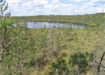 Čepkelių valstybinis gamtinis rezervatas