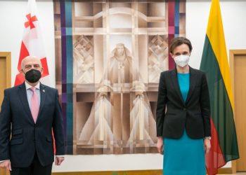 Šalies vadovai susitinka su Gruzijos ministru