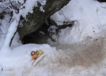 Pusiaužiemį stebėkime gamtos ženklus