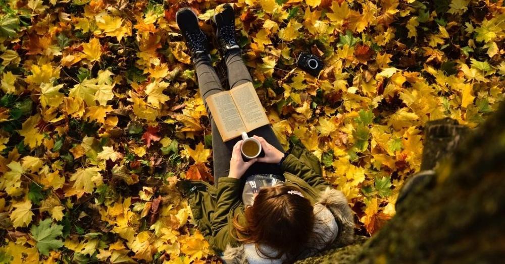 Gydančios knygų galios – ar skaitymas gali išgydyti psichines ligas?