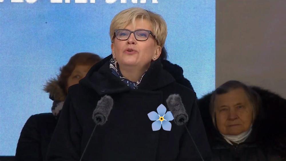 Sausio 13-ąją – Laisvės dieną piliečiai nušvilpė minėjime pasisakančius valdančiuosius, plojo tik Prezidentui PILDOMA