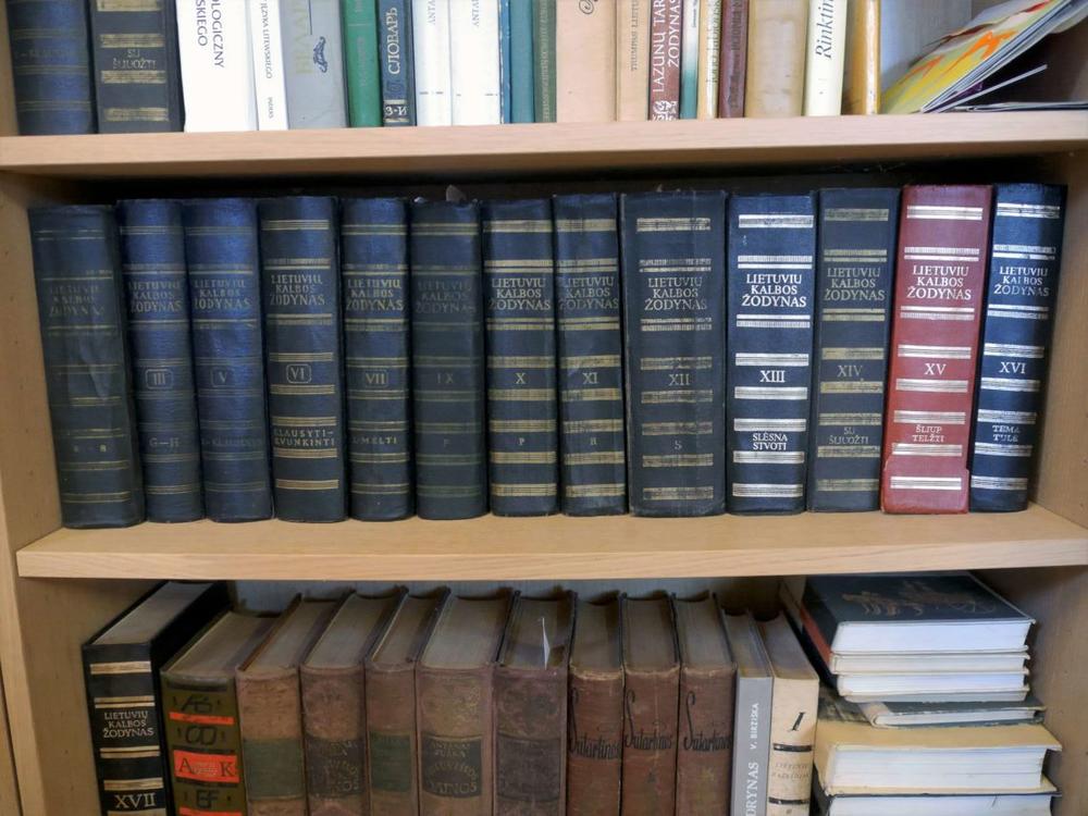 Didysis lietuvių kalbos žodynas | Alkas.lt, J. Vaiškūno nuotr.