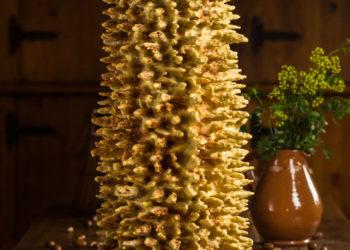 Lietuviškas šakotis pripažintas visos Europos mastu