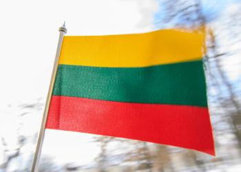 Lietuvos vėliava | lrp.lt nuotr.