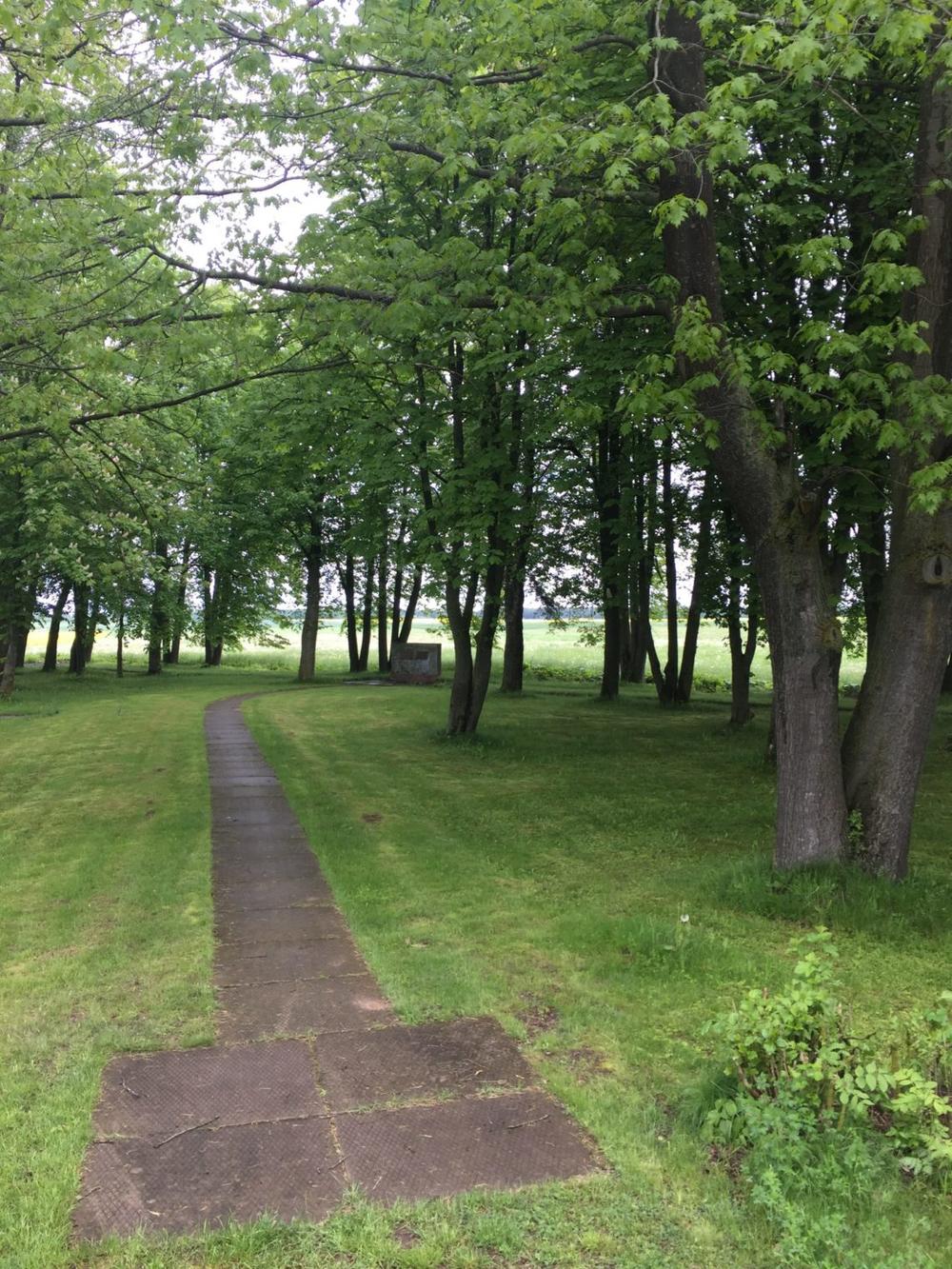 A. Vitkus, V. Valiūnas. Dėl žydų šaudymo Žynių kaime