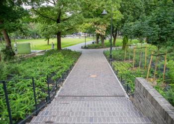 Želdynai | am.lrv.lt nuotr.