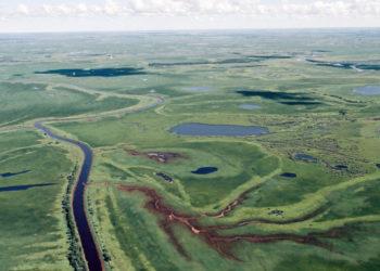 Apskaičiuota, kiek lėšų reikės „Natura 2000“ tinklui Lietuvoje kurti ir palaikyti