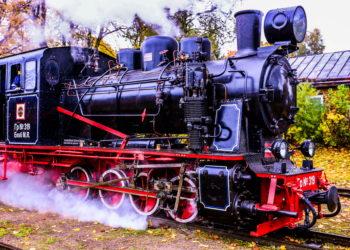 Siaurukas | Alkas.lt, A. Sartanavičiaus nuotr.