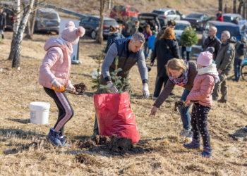 Vilniečiai sodino Kalėdų mišką