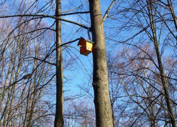 Klaipėda imasi skulptūrų parko – tvarkymo darbai truks 2 metus