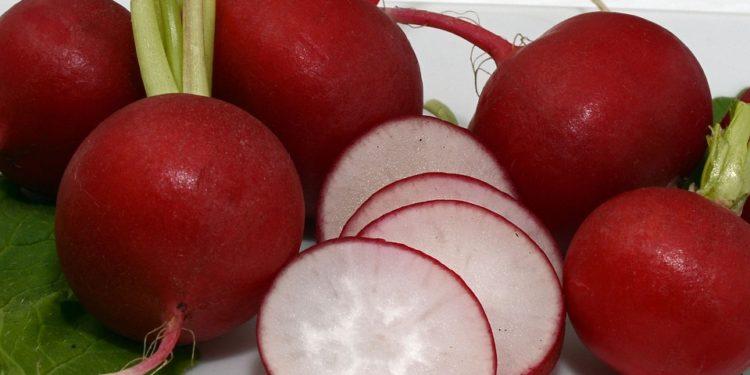 Daržovės, ridikėliai | pixabay.com nuotr.