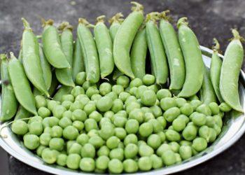 Žalieji žirneliai: sriuboms, salotoms ir apkepams