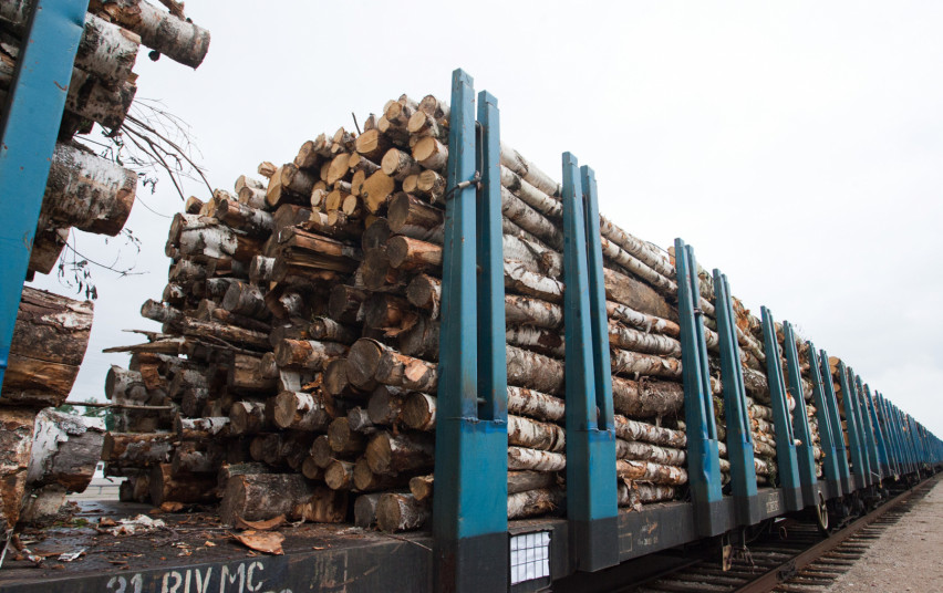 Keičiama prekybos valstybiniuose miškuose pagaminta mediena tvarka | lrv.lt nuotr.
