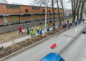 Sužaliuos Vilniaus savanorių prospektas
