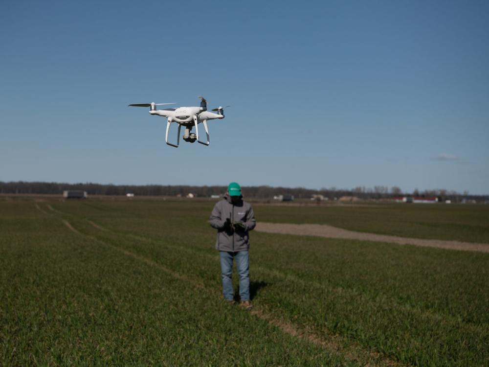 Žiemkenčiai peržiemojo – o kas toliau? (video)