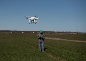 Žiemkenčiai peržiemojo – o kas toliau? (video)