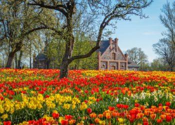 Burbiškio dvare vėl vyks Tulpių žydėjimo šventė!