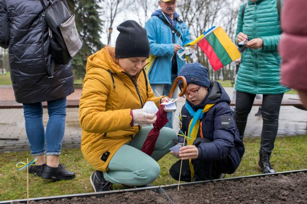 Ukrainai palaikyti – simbolinė saulėgrąžų sėja