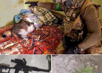 Karas Ukrainoje | Alkas.lt koliažas