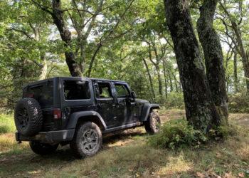 Aplinkosaugininkai primena: miško paklotė nėra ypatingų pojūčių kelias | lrv.lt nuotr.