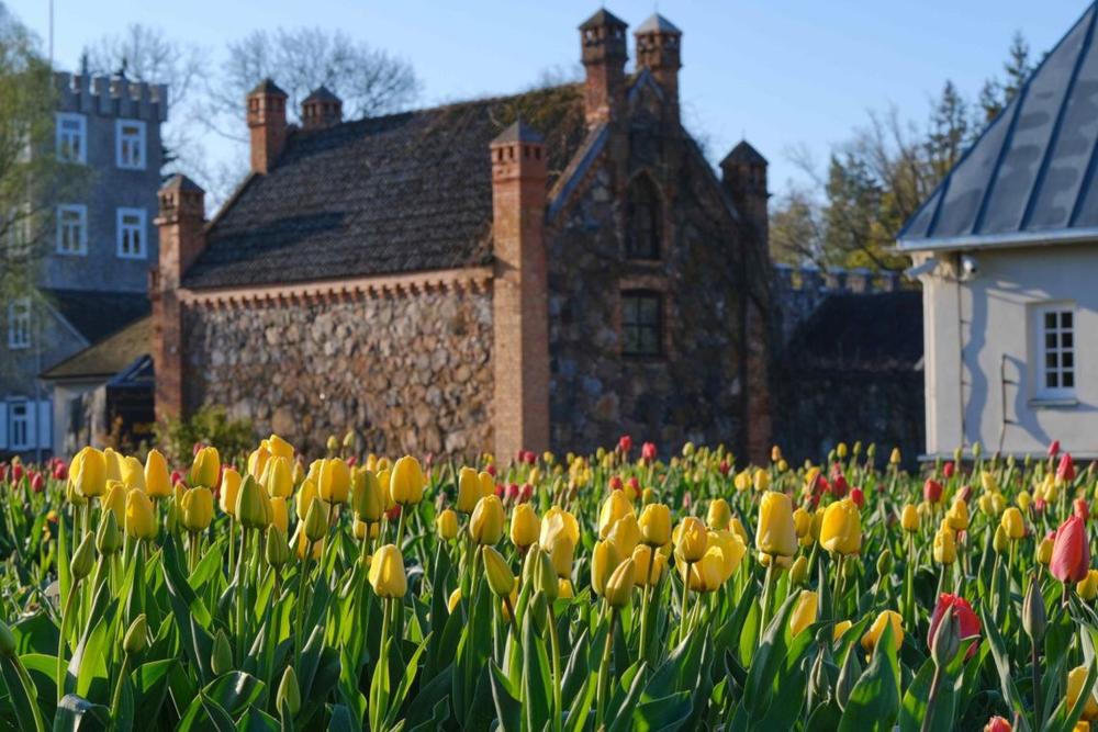 Tulpių žydėjimo šventė | A. Labenskytės nuotr.