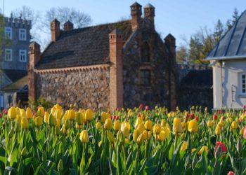 Tulpių žydėjimo šventė | A. Labenskytės nuotr.