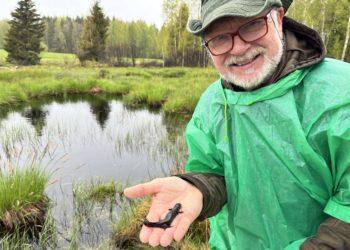 Entomologas Giedrius Švitra laiko tritoną | naturalit.lt