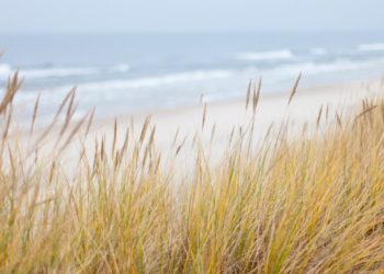 Rengiamos priemonės Baltijos jūros aplinkos būklei gerinti