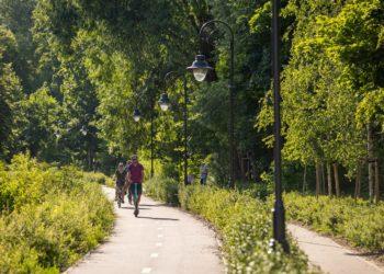 Vilniečiams – oro kokybės ir žiedadulkių žemėlapis