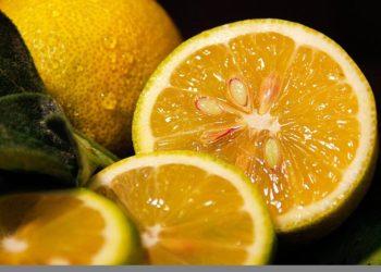 Citrinos pravers ir tvarkant namus