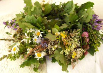 J. Zvonkuvienė. Ilgiausios dienos