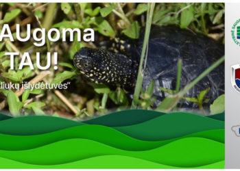 Susipažinimui su vėžliais skiriama tik valanda | lrv.lt nuotr.