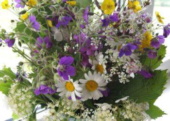 J. Zvonkuvienė. Kol tebežydi