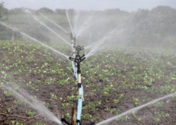 Giežtėja paviršinio vandens naudojimo tvarka