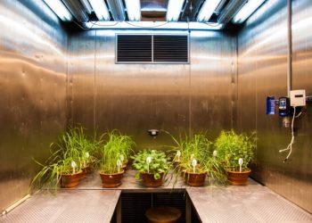 Laboratorija | VDU nuotr.